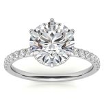 6-Prong Round Moissanite Engagement Ring Hidden Halo 